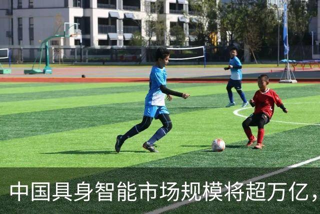 中国具身智能市场规模将超万亿，产业冷热分化、渐回归理性